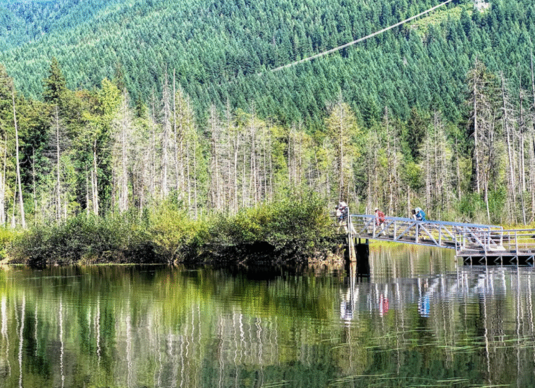 🌿 Buntzen Lake Day Hike | Spring Walk, Safe Steps! 🏞