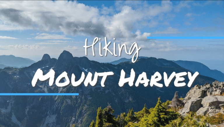 🏔️ Mt. Harvey Day Hike Challenge🔥