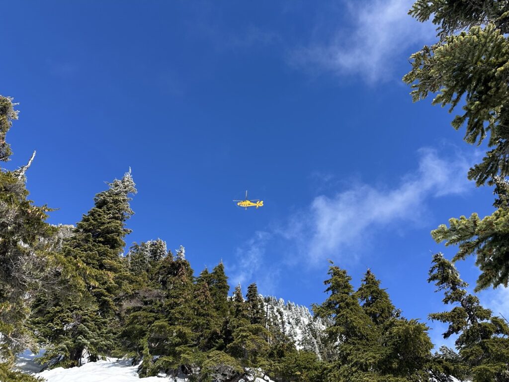 PNOA Statement Regarding the Tragic Accident Involving Yan Cen (Rock)