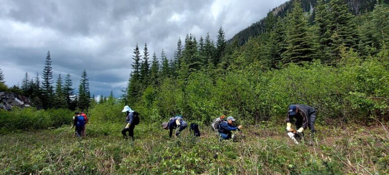 🧹 Trail Cleaning with BCMC to Celebrate BC Trails Day | 与BCMC携手清理步道，庆祝BC步道日🌲